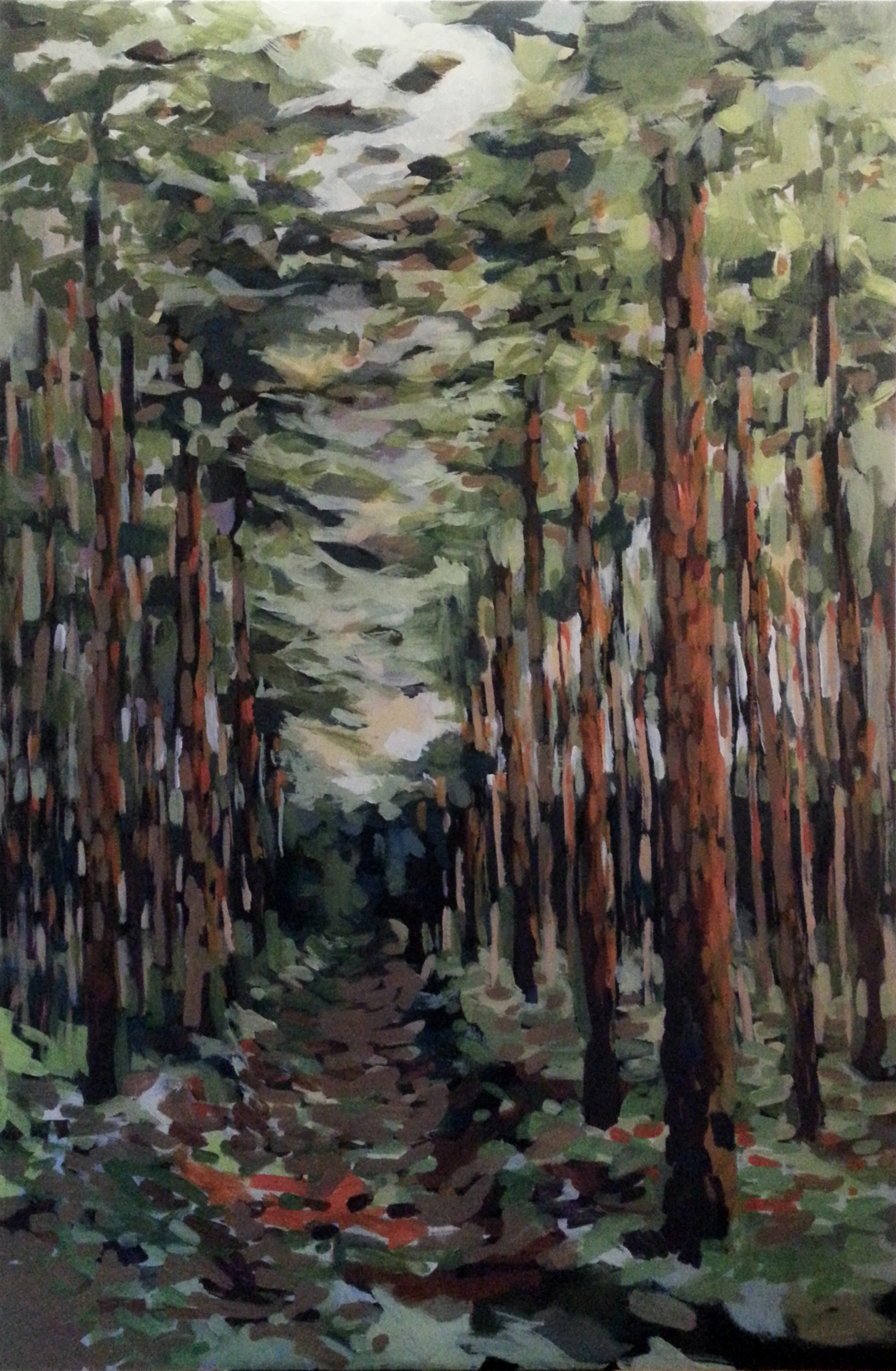 Bild: Kiefernwald