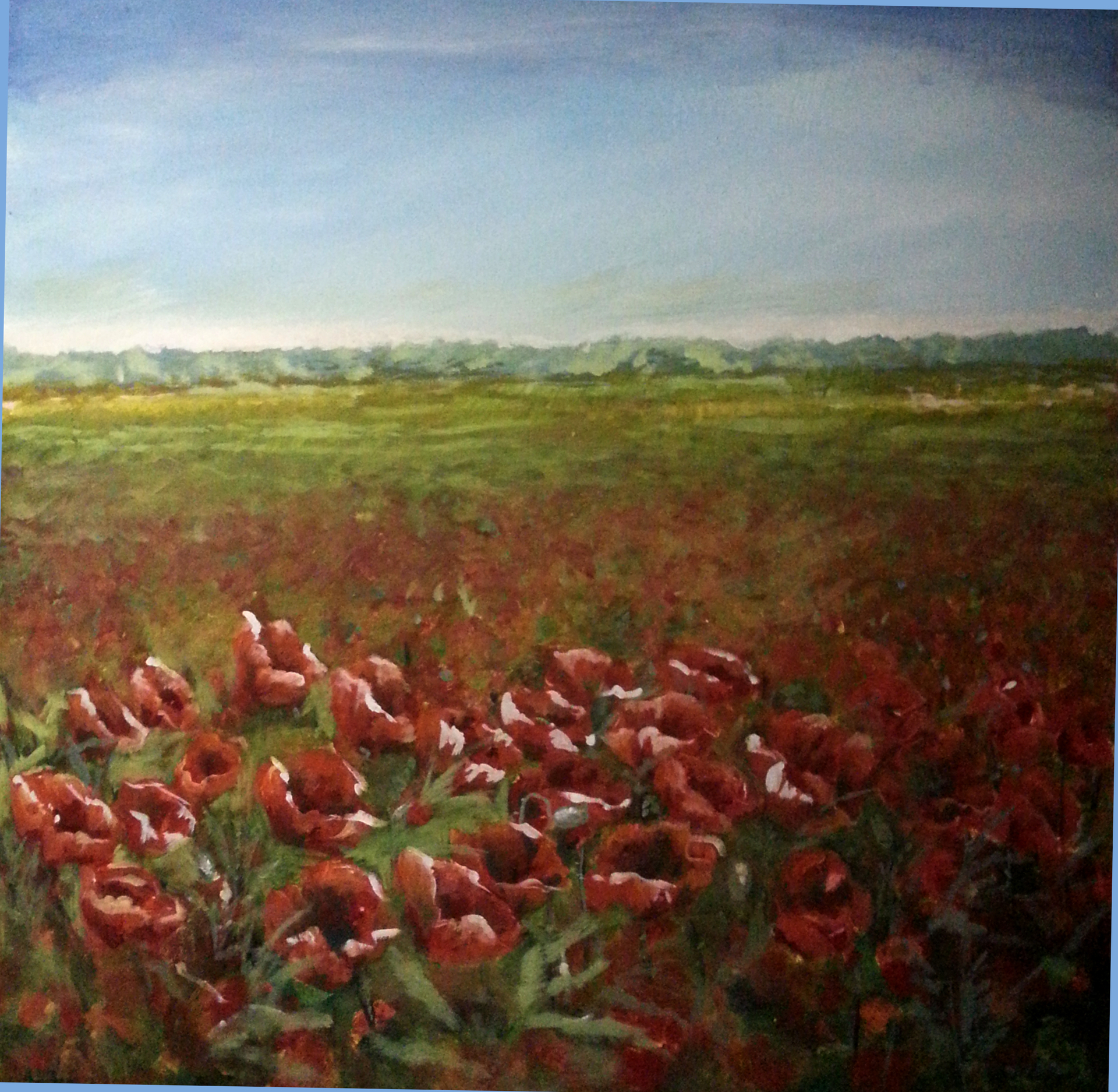 Bild: Mohnblumen