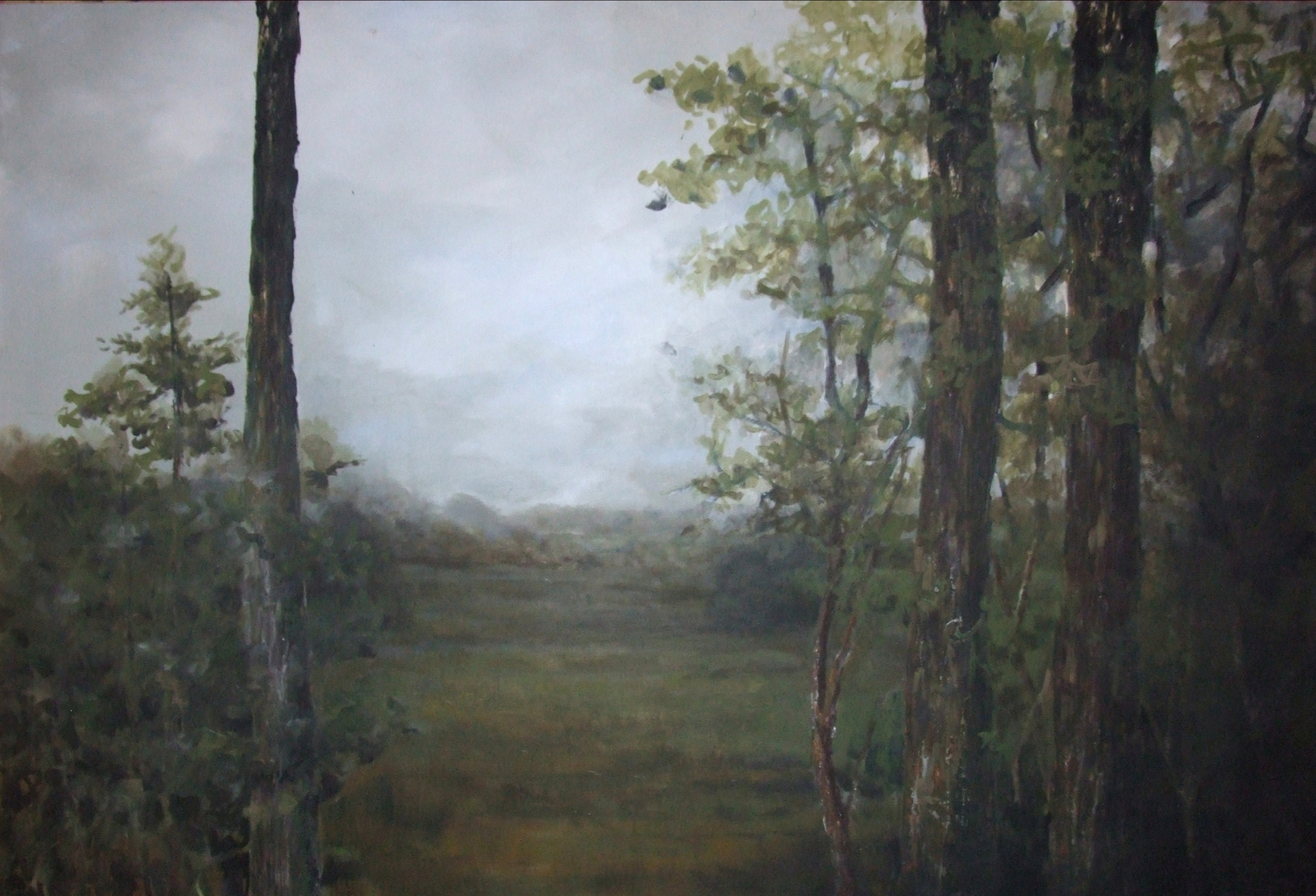 Bild: wald